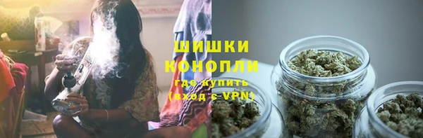 мет Инта