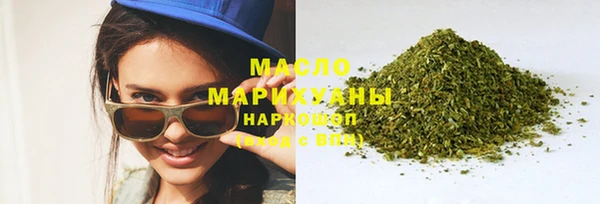 мет Инта