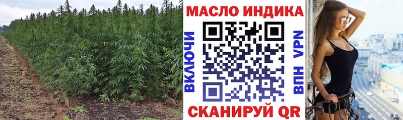 Дистиллят ТГК Wax  купить наркоту  Ноябрьск 