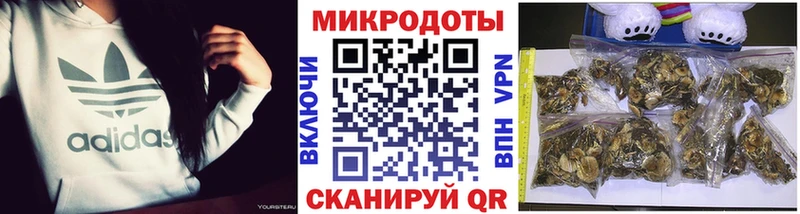 Галлюциногенные грибы ЛСД  mega ссылка  Ноябрьск 