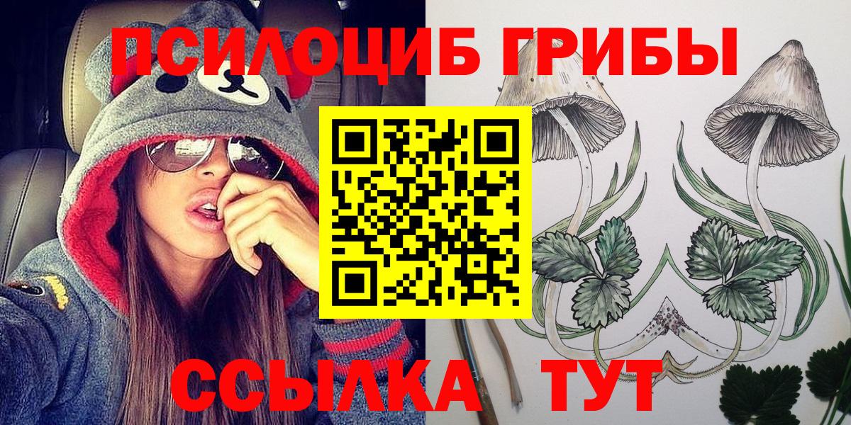 Псилоцибиновые грибы Psilocybine cubensis Ноябрьск