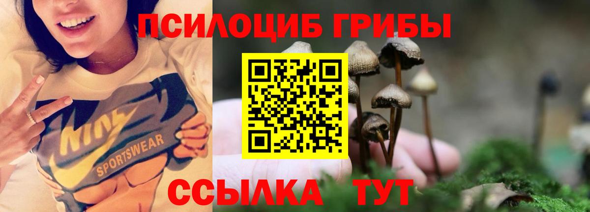 Галлюциногенные грибы Cubensis  Псилоцибиновые грибы мухоморы  Ноябрьск  Вход с VPN 